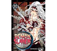 Demon Slayer 22: Kimetsu No Yaiba