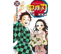 Demon slayer 23 (vo japonais)