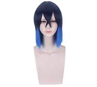 Demon Slayer: Kimetsu No Yaiba Hashibira Inosuke Parrucche Cosplay 35cm Parrucca corta dritta Anime Parrucca sintetica Blu navy Halloween Demon Slayer Kimets Hashibira Inosuke