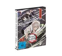 Demon Slayer: Kimetsu no Yaiba Hashira Training Arc - Vol.1 - [DVD]