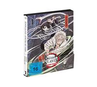 Demon Slayer: Kimetsu no Yaiba Hashira Training Arc - Vol.2 - [DVD]