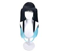 Demon Slayer Kimetsu no Yaiba Tokitou Muichirou Coda di cavallo Parrucca lunga Costume cosplay Uomo Donna Parrucche sintetiche resistenti al calore Taglia unica con coda di cavallo
