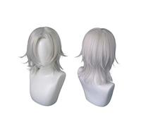 Demon Slayer Kimetsu No Yaiba Uzui Tengen Argento sintetico Cosplay resistente al calore Capelli sintetici + Cappellino parrucca gratuito (senza copricapo) B