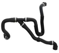 DEMULAX 17127596839 Tubo del serbatoio dell'acqua Tubo del radiatore, for, F20F30 F35 125i 320li 328li Tubo flessibile del radiatore