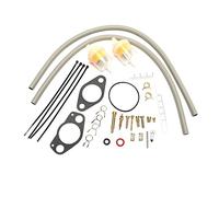 DEMULAX Kit di riparazione carburatore 2500 2510 2520 Sostituisce il codice OEM 15003-2509 11009-2024 49121-2185 16030-2067 49123-2065 Guarnizione per carburatore marino
