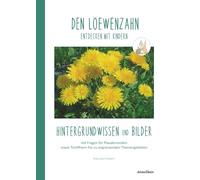 DEN LÖWENZAHN entdecken mit Kindern: Hintergrundwissen und Bilder