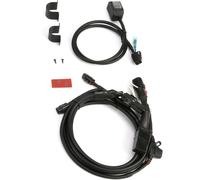 Denali Premium, cablaggio male