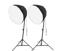 Denash Kit 2 Set di Luci Fotografiche con Lampadina a Risparmio Energetico da 85 W, luminosità Regolabile in 3 Colori 1.100 Tramite Telecomando, con Softbox a 12 Lati da 60 Cm e (regolamenti europei)