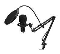 Denash Kit di Canto per Studio con Microfono a Condensatore, Kit di Schede Audio USB per Microfono Flessibili con Cavo Audio per Giochi Online per la Trasmissione Dal Vivo per il Canto