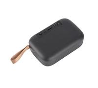 Denash Little 4.2 Altoparlante Portatile con Scheda di Memoria Integrata a Lungo Termine per Altoparlante Portatile nel Campo (BLACK)