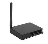 Denash Microfono Wireless della Tecnologia Avanzata con un Lungo Termine per il Matrimonio DJ KTV per Tablet per Computer