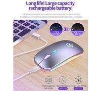 Denash Mouse Wireless Illuminato, Mouse Ricaricabile Muto per Computer Portatile 'ufficio, Design Silenzioso della Caffetteria, Plug and Play, 1 X Pennello GRIM (Versione grigio in metallo,