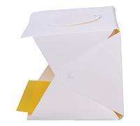 Denash Studio della Scatola Luminosa per Campionato Pieghevole con una Lampada Ad Alta Lucentezza Perla, Softbox Facile da Facile per pubblicità di Prodotti,