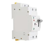 Denash Switch di Trasferimento Automatico a Doppia Potenza 63A Circuito Controller Fast RADULOVER per Home/Office, Grado PC, Commutazione in Millisecondi (220VAC)