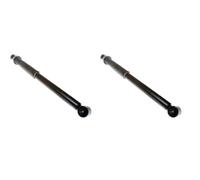 DENCKERMANN 2x Ammortizzatore SX Dx. Post. per Renault Clio Nei Boschi II BB _