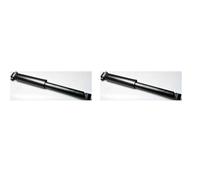 DENCKERMANN 2x Ammortizzatore SX Dx. Post. per Renault Espace IV Fg JK0/1_ 2.0