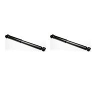 DENCKERMANN 2x Ammortizzatore SX Dx. Post. per Renault Laguna III Grandtour