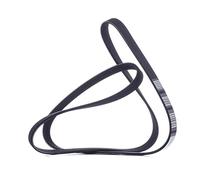 DENCKERMANN 6PK1453 Cinghia servizi Cinghia Poly-V Cinghia alternatore Cinghia dei servizi
