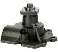 DENCKERMANN A310010P Pompa dell’acqua, raffreddamento motore per FORD