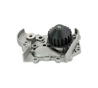 Pompa acqua A310050P DENCKERMANN per RENAULT RAPID Cassone/Limousine spaziosa