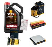 DENCKERMANN Controllo Set 5L MOTUL 8100 X-CLEAN EFE 5W-30 Per Fiat Doblo