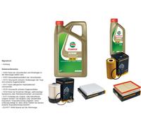 DENCKERMANN Controllo set 6L CASTROL EDGE 5W-30 C3 per Nissan NP300 Navara