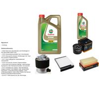 DENCKERMANN Controllo set 6L CASTROL EDGE 5W-30 C3 per Nissan NV200 Evalia