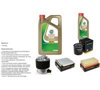 DENCKERMANN Controllo set 6L CASTROL EDGE 5W-30 C3 per Nissan NV200 Evalia