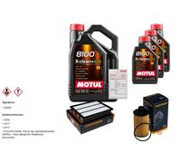 DENCKERMANN Controllo Set 8L MOTUL 8100 X-CLEAN 0W-30 Per Ssangyong Rodius