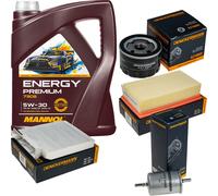 DENCKERMANN Controllo Set Energy Premium 5W-30 5L Per Renault Clio Grandtour