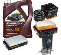 DENCKERMANN Controllo Set Energy Premium 5W-30 5L Per Renault Megane III