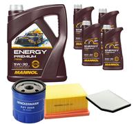 Denckermann Controllo Set Energy Premium 5W-30 9L per Renault Laguna I