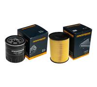 DENCKERMANN Controllo Set Filtro Per Ford Kuga II 2.0 TDCI 4X4 Focus III