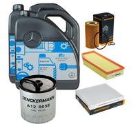 DENCKERMANN Controllo Set MB 5W-40 229.5 10L Per Mercedes-Benz G-Klasse