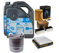 DENCKERMANN Controllo Set MB 5W-40 229.5 10L Per Mercedes-Benz R-Klasse