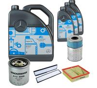 DENCKERMANN Controllo Set MB 5W-40 229.5 8L Per Mercedes-Benz E-Klasse