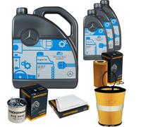 DENCKERMANN Controllo Set MB 5W-40 229.5 8L Per Mercedes-Benz E-Klasse