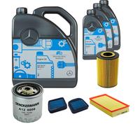 DENCKERMANN Controllo Set MB 5W-40 229.5 8L Per Mercedes-Benz E-Klasse