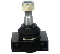Perno braccio oscillante Assale anteriore D110138 DENCKERMANN per SMART CABRIO
