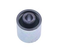 DENCKERMANN Rullo Guida Cinghia Per Audi A3 2.0 FSI VW EOS Passat