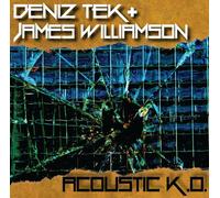 Deniz Tek & James Williamson - Acoustic K.O. (EP)