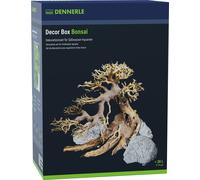 Dennerle Decor Box Bonsai - 1 pz.