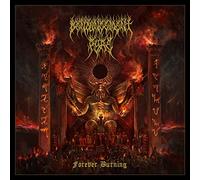 Denouncement Pyre - Forever Burning