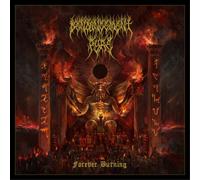 Denouncement Pyre Forever Burning (Vinyl LP) 12" Album