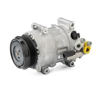 Denso Compressore climatizzazione DCP17071 R 134a PAG 46 per Mercedes-Benz Classe A W169