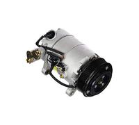 DENSO Compressore, Climatizzatore DENSDCP32060