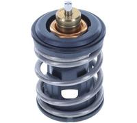 DENSO DTM105973 Termostato motore