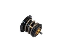 DENSO DTM87964 Termostato motore
