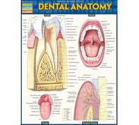 Dental Anatomy