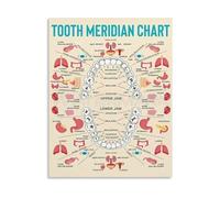 Dental Anatomy Chart Tooth Structure Educational Poster Canvas Wall Art for Clinic Office Decor(Framed,12x18inch(30x45cm))
